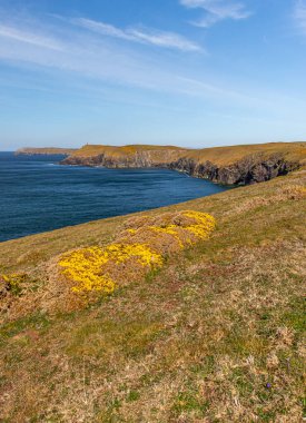 Güneşli bir nisan gününde manzara. Dağların ve okyanusun güzel manzarası. Padstow Cornwall, İngiltere.