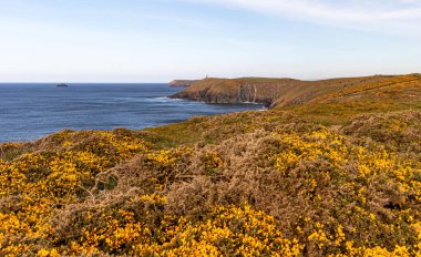 Güneşli bir nisan gününde manzara. Dağların ve okyanusun güzel manzarası. Padstow Cornwall, İngiltere.