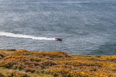 Güneşli bir nisan gününde manzara. Dağların ve okyanusun güzel manzarası. Padstow Cornwall, İngiltere.
