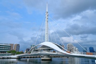 Kaohsiung, Tayvan - 20 Nisan 2023: Kaohsiung Limanı 'ndaki Dagang Köprüsü.