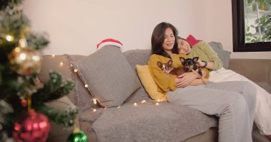 Mutlu Asyalı genç kadın lezbiyen Igbt çifti koltukta dinlenirken sevimli köpekleri kucaklıyor, evde bayram sezonunu, yeni yılı ve Noel konseptini kutluyorlar. Tatili bekliyorum.