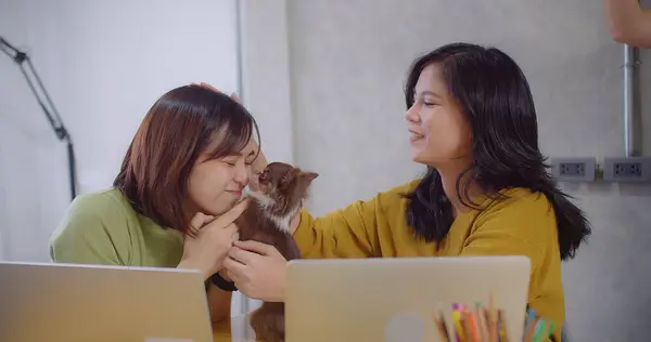 Two women enjoy a work break with a Chihuahua, one gently kissing the dog while the other smiles at workspace desk home office