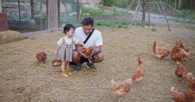 Bir baba ve küçük bir kız tarlada tavukları besliyorlar. Kıza ve adama yakın duranlar var ve diğerleri daha uzakta. Huzur dolu bir sahne.