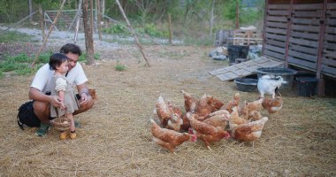 Bir baba ve küçük bir kız tarlada tavukları besliyorlar. Kıza ve adama yakın duranlar var ve diğerleri daha uzakta. Huzur dolu bir sahne.