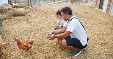 Bir baba ve küçük bir kız tarlada tavuk besliyor. Kıza ve erkeğe yakın duranlar var. Huzur dolu bir sahne.