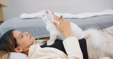 Çekici bir kadın bir yatakta uzanıyor, oturma odasında sevimli, tüylü, beyaz bir kediyle sevişiyor, ev sahibi evcil kedileri okşuyor, evcil hayvanlarla insanlar arasındaki ilişki, huzurlu ve rahatlatıcı.