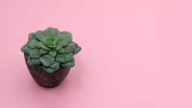 Pembe arka planda taş kaplamalı yapay yeşil sulu bir manzara. Banne için iyi.