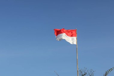 17 Ağustos 1945, Endonezya bayrakları gökyüzü arka planında. Bağımsızlık Günü kavramı