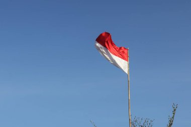 17 Ağustos 1945, Endonezya bayrakları gökyüzü arka planında. Bağımsızlık Günü kavramı