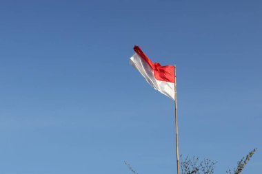 17 Ağustos 1945, Endonezya bayrakları gökyüzü arka planında. Bağımsızlık Günü kavramı