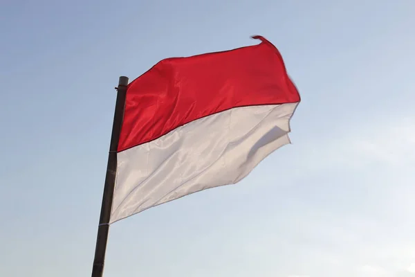 1945 Augusztus Indonéz Zászlók Égbolt Hátterében Függetlenség Napja Koncepció — Stock Fotó