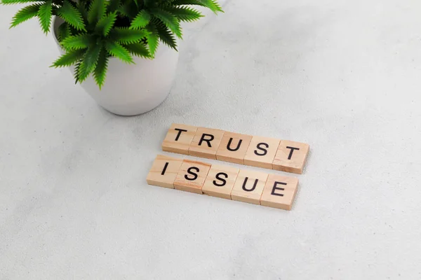 关于白色背景的木制立方体字母块上的信任问题词的顶视图 业务概念 — 图库照片