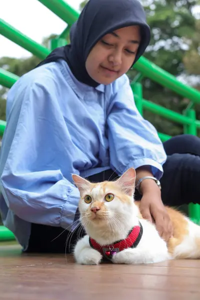 Outdoor portrait of Asian hijab woman holding and giving gentle touch to cat, taking care of her pet in nature park. Love relationship between humans and animals.