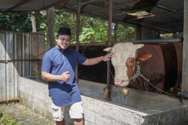 Asyalı Müslüman çiftçinin portresi. Çiftlikteki limuzin ineğine bakıyor.