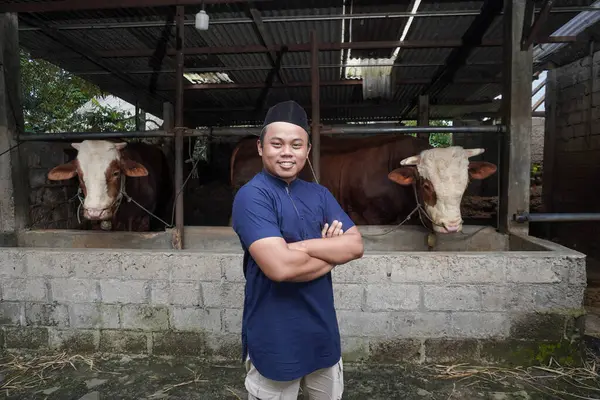 Heyecanlı Asyalı Müslüman çiftçinin portresi çiftlikte limuzin ineğinin önünde duruyor, el ele tutuşup el ele tutuşuyor.