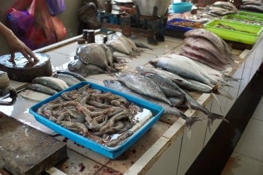 Zıpzıp ve fırkateyn ton balığı gibi çeşitli balıklar canlı bir balık pazarında satışa sunuluyor.