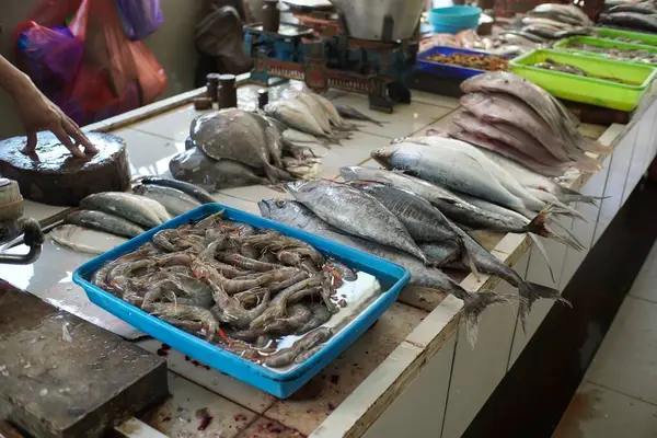 Zıpzıp ve fırkateyn ton balığı gibi çeşitli balıklar canlı bir balık pazarında satışa sunuluyor.