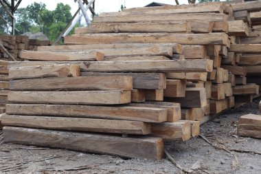 Tik ağacı kerestesi fabrikadaki mobilyalara işlenmeye hazır.