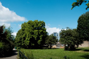 Newcastle UK: 8 Haziran 2024: Güneşli mavi gökyüzü gününde Elswick, Cruddas Park yakınlarındaki apartman blokları