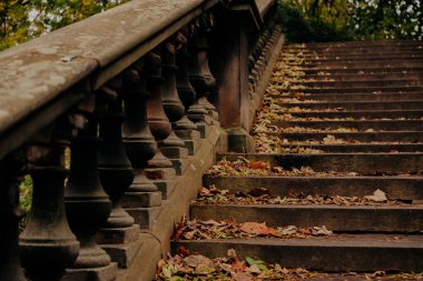 Edinburgh İskoçya: 19 Ekim 2022: Princes Caddesi 'ndeki bahçelerde sonbahar manzarası sırasında taş merdivenler