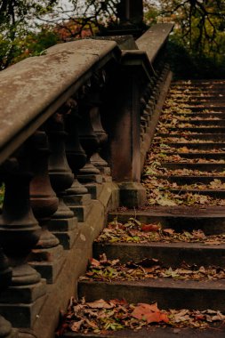 Edinburgh İskoçya: 19 Ekim 2022: Princes Caddesi 'ndeki bahçelerde sonbahar manzarası sırasında taş merdivenler