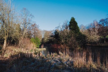 Glasgow İskoçya: 8 Ocak 2025: Açık bir kış gününde ağaçlarla çevrili Kelvingrove Park manzarası