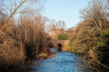 Glasgow İskoçya: 8 Ocak 2025: Nehrin Kelvingrove Parkı boyunca ağaçlarla çevrili manzarası ve açık bir günde eski bir köprü. Kelvin Nehri Kelgvingrove Parkı