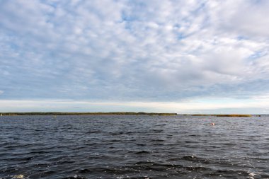 Narva reservoir. Beautiful bright cloudy sky. Softly sunny evening light falls on islets with yellow reeds and on a strip of autumn forest on the opposite bank