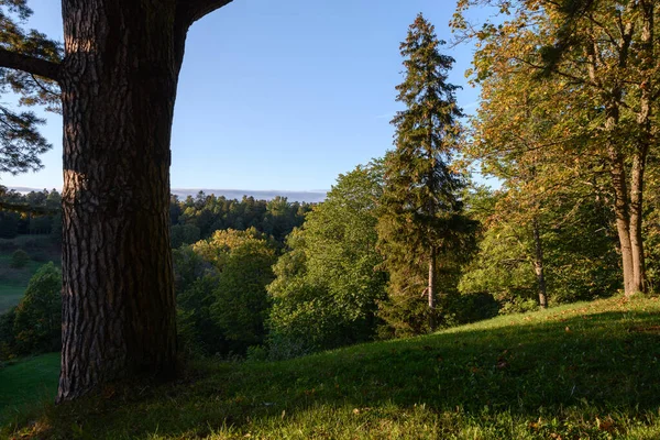 Het Landschap Een Bos Het Begin Van Herfst Een Heuvelachtig — Stockfoto