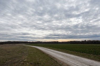 Estonya 'da tarlalar arasında bir köy yolu olan bahar tarım arazisi. Kış tecavüzü tohumları ve saman için bir çayır. Arka planda çıplak dalları olan bir orman var. Gün batımından önce alçak bulutlu gökyüzü