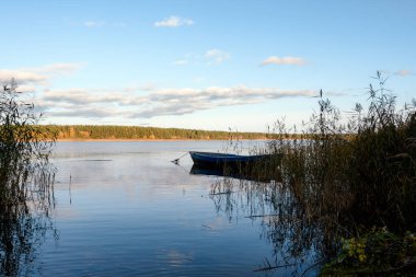 Sazlıktaki bir kanaldan akşam güneşinin altında nehrin manzarası kıyıya demir atmış eski bir ahşap tekne. Karşı kıyıda bir çam ormanı var. Mavi gökyüzü ve düşük beyaz-gri bulutlar