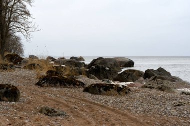 Baltık Denizi 'nin kumlu ve çakıl taşlı sahillerinde koyu granit taşlar, bahar. Kıyı kayaları çok renkli yosun ve gri liken ile kaplıdır. Bulutlu, güzel çiselemeli