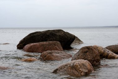 Baltık Denizi 'nin su yüzeyinden büyük granit taşlar yükseliyor. Yağmurlu bir bahar gününde bulutlu bir gökyüzü. Ufukta, körfezin karşı tarafında, güzel bir çiseleme sisinin içinde, ormanlık bir sahil var.