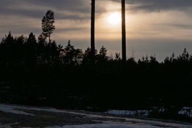 Bir bahar çam ormanındaki siluet ağaçlar, arka planda güzel bir akşam bulutlu gökyüzüne karşı, dramatik bir sis içinde güneş. Ön planda çakıllı yolda kar kalıntıları var.