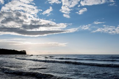 Dalgalı deniz ve kumlu sahil, bulutlu bir gökyüzünün altında uzak bahar ormanı. Koyu su ve yeşil yapraklı doğal deniz manzarası. Kıyı manzarası.
