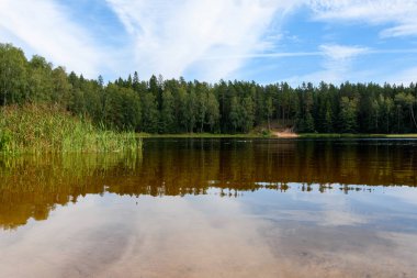 Forest lake Raakjarv (Vasavere, Estonia) in the late afternoon of mid-August. Lush green trees and reeds reflect on the calm water, with a family visible on a small sandy beach on the opposite shore.