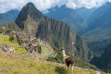 Maço Picchu harabelerinin panoramik görüntüsü, Peru