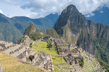 Maço Picchu harabelerinin panoramik görüntüsü, Peru