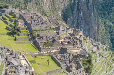 Maço Picchu harabelerinin panoramik görüntüsü, Peru