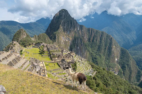 Panoramic Views Machu Picchu Ruins Peru — Stock Photo, Image