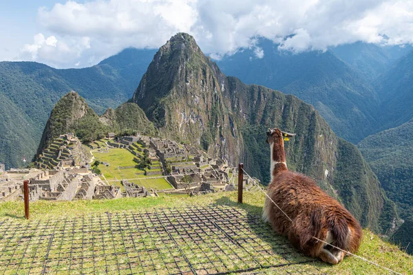 Πανοραμική Θέα Machu Picchu Ερείπια Peru — Φωτογραφία Αρχείου