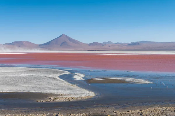 Vue Panoramique Sur Parc National Eduardo Avaroa Bolivie — Photo