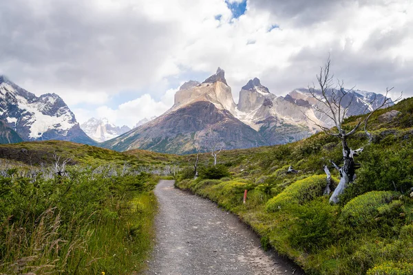 Niesamowity Krajobraz Parku Narodowego Torres Del Paine Chile — Zdjęcie stockowe