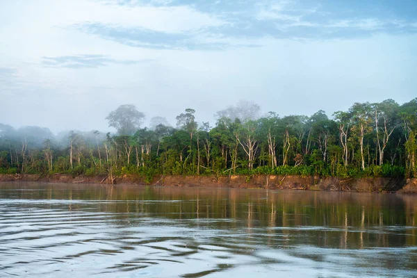 riverbank view of peruvian amazonian jungle