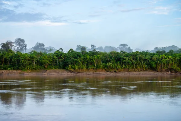 riverbank view of peruvian amazonian jungle