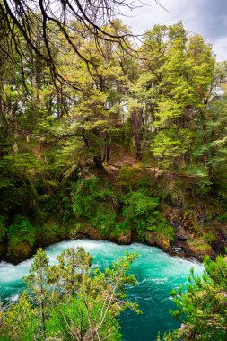 views of nahuel huapi national park in bariloche, argentina