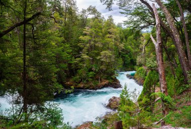 views of nahuel huapi national park in bariloche, argentina