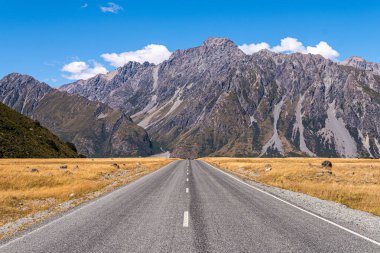 Yeni Zelanda 'daki Aoraki Ulusal Parkı panoramik görünümü
