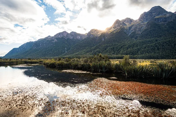 stock image views of fiordland national park in new zealand