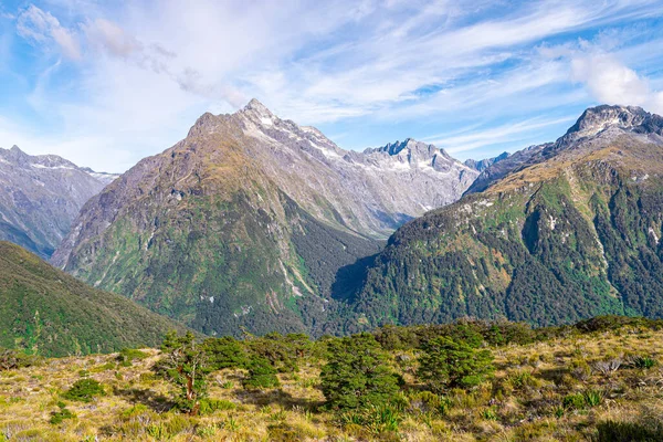 Uitzicht Het Nationale Park Van Fiordland Nieuw Zeeland — Stockfoto